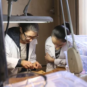 5398118cf59f7fa03db4f415b2edf812 #TUMOgoesAnalog with Laura Sansonetti