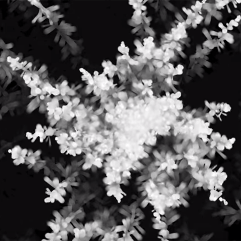 Creating Games with Python haig armen 2 - Creating Games with Python