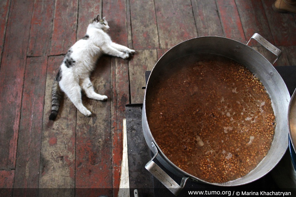 55dbd4e725b3357d035c58f5b0c582cd - All You Need to Know About Kurkut: a Story by TUMOians