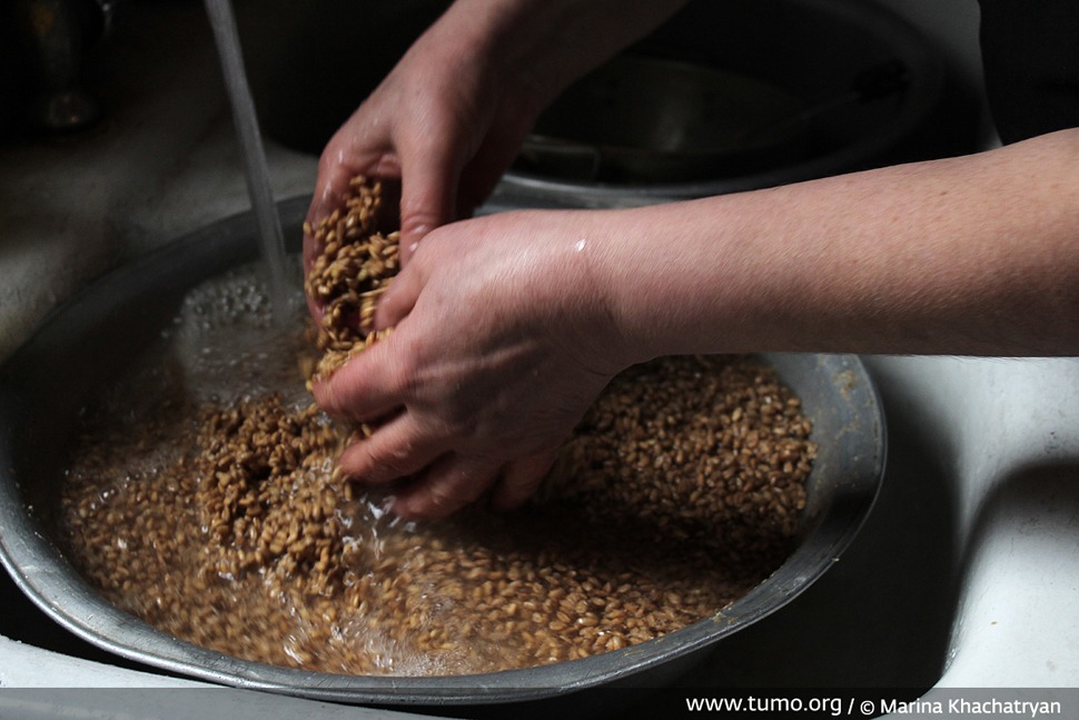 fea09be4b7a8740f134c727adb11b2b8 - All You Need to Know About Kurkut: a Story by TUMOians