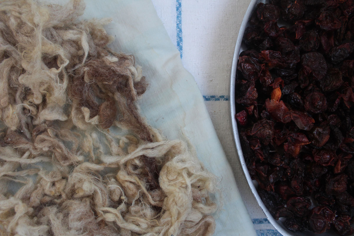 12 3 - Vahē & Lucie Award 2019