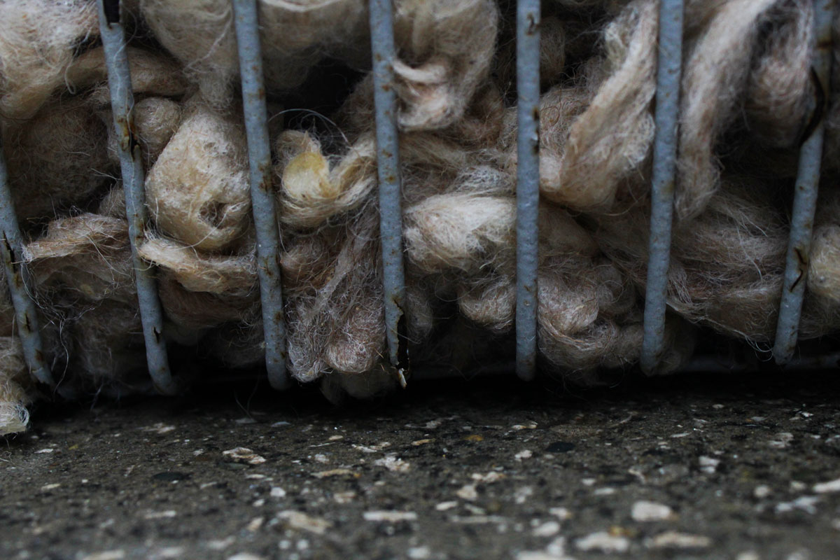 5 4 - Vahē & Lucie Award 2019