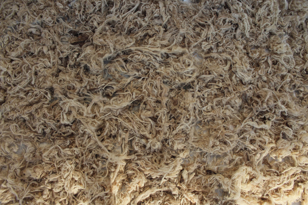 9 3 - Vahē & Lucie Award 2019