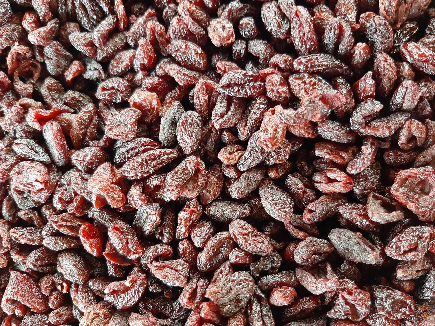 February in Stepanakert lia asryan - February in Stepanakert