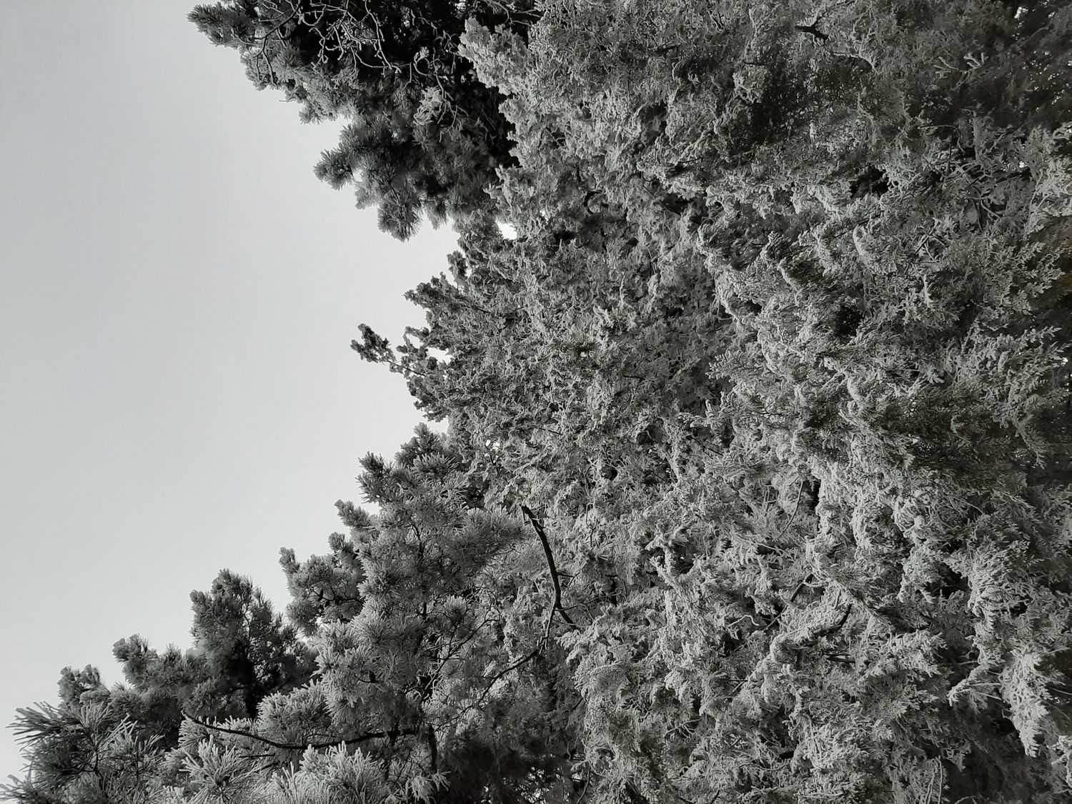 February in Stepanakert lia asryan1 - February in Stepanakert