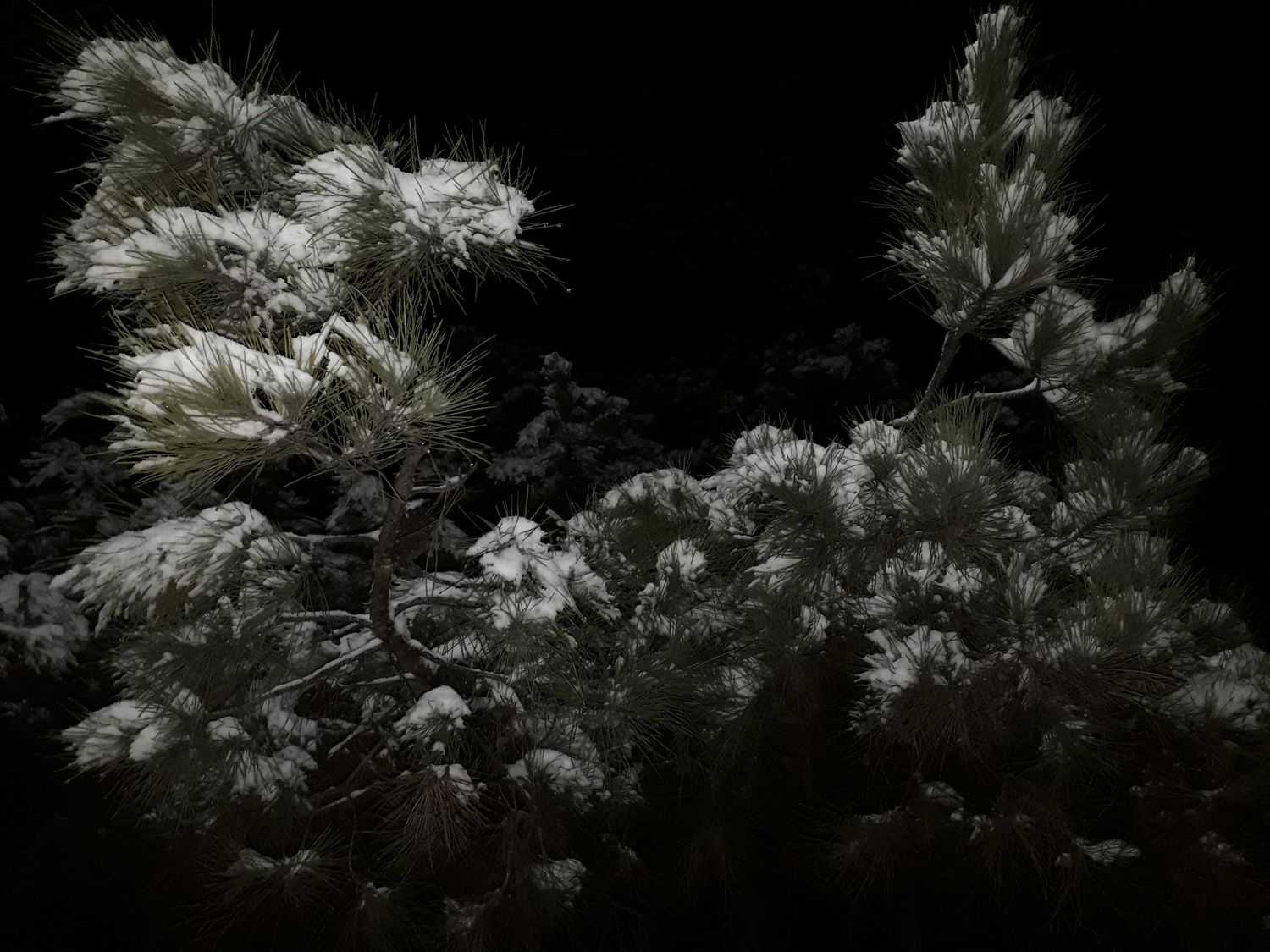 February in Stepanakert lilit baluyan - February in Stepanakert