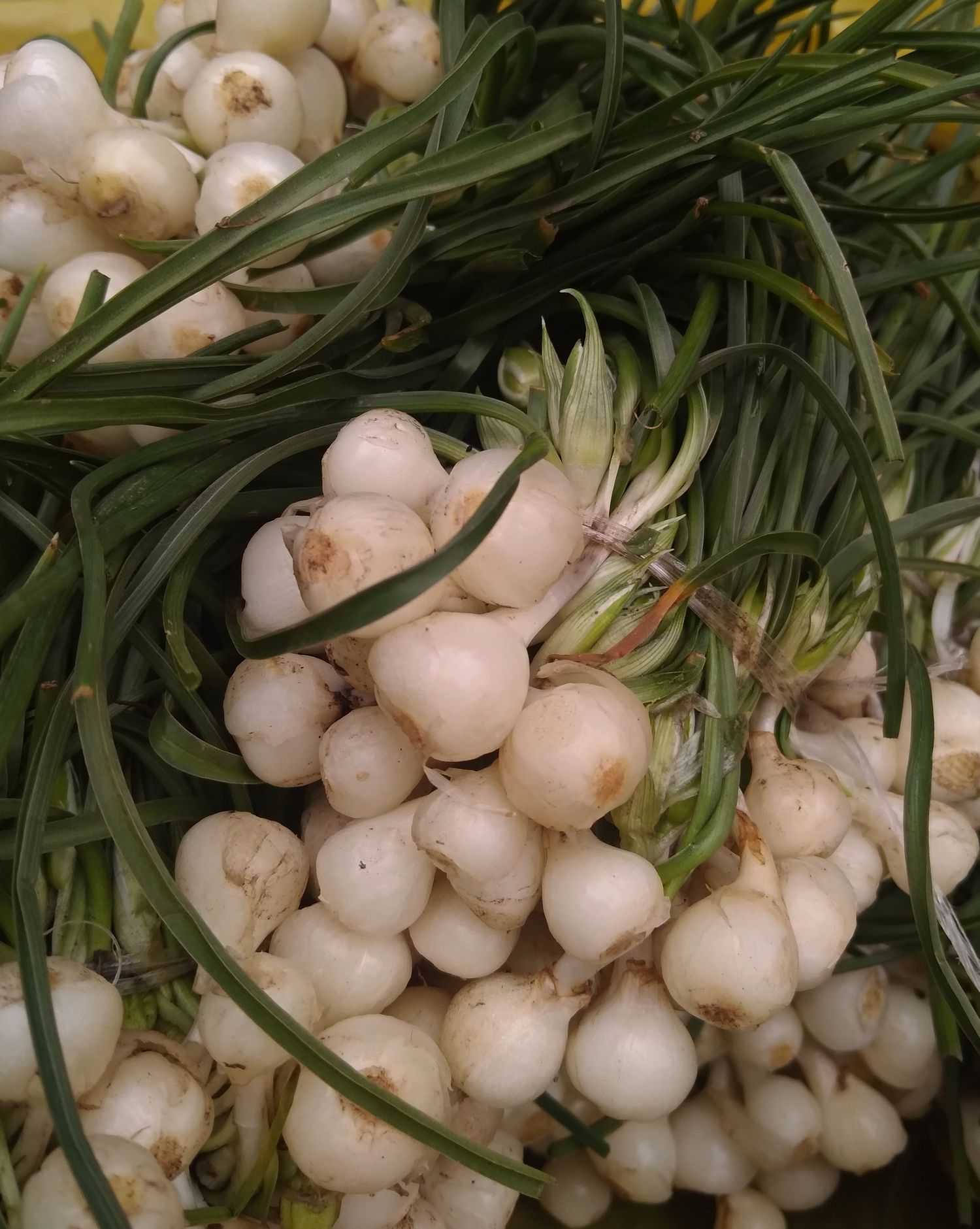 February in Stepanakert nana sahakyan 1 - February in Stepanakert