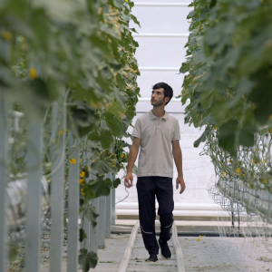 #TUMO10: How Rafi Left Programming for Agriculture