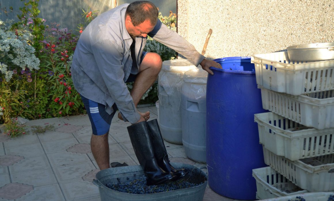 10 1160x700 - Vahē & Lucie Award 2021