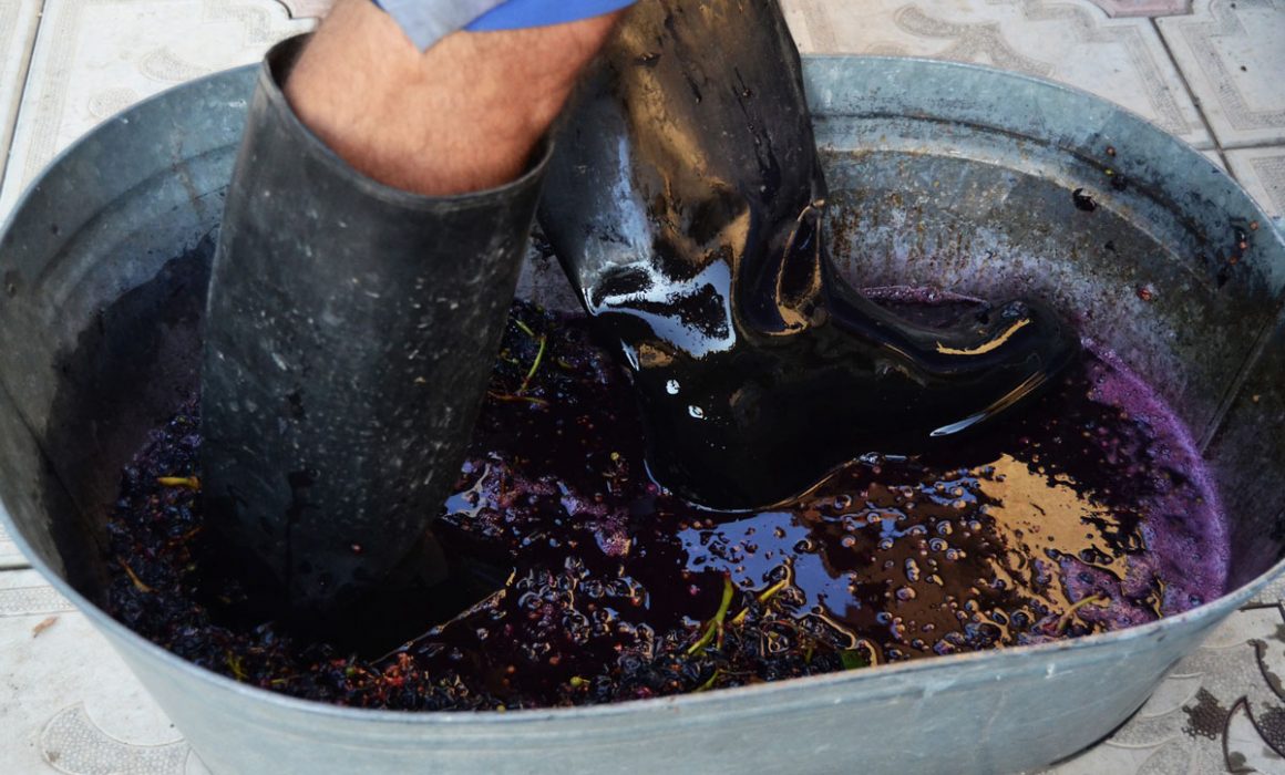 11 1160x700 - Vahē & Lucie Award 2021