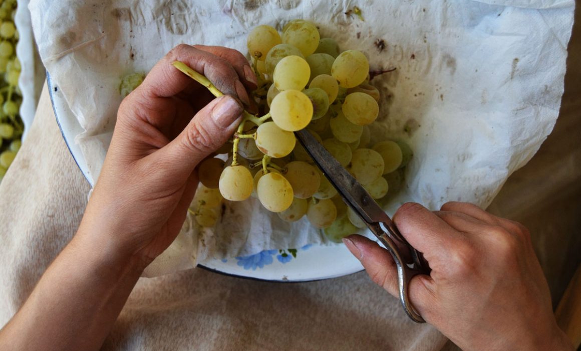 12 1160x700 - Vahē & Lucie Award 2021