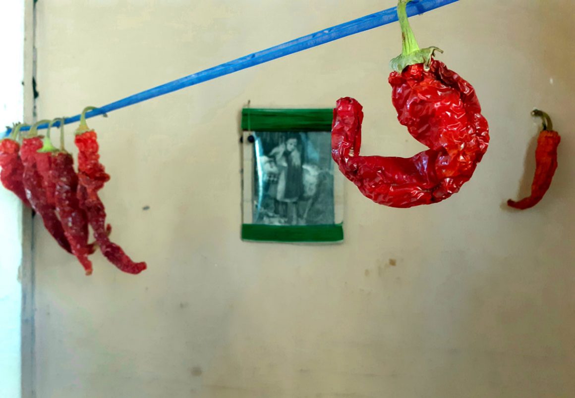 20210930 024713 1160x804 - Vahē & Lucie Award 2021