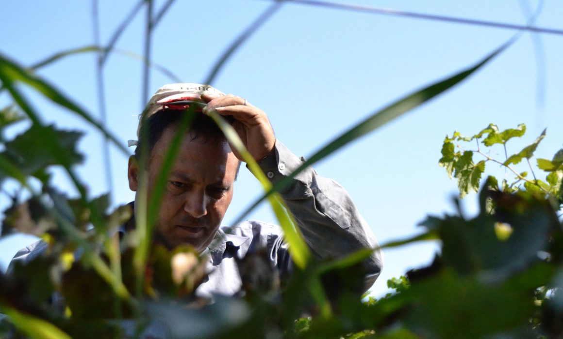 3 1160x700 - Vahē & Lucie Award 2021