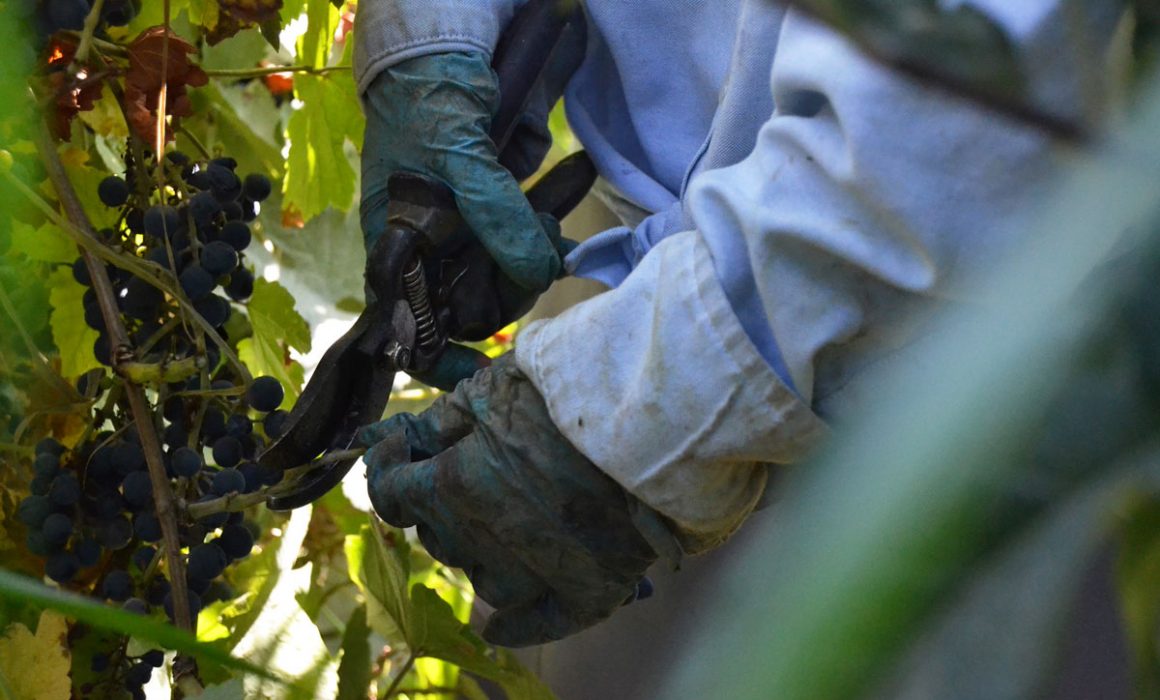 4 1160x700 - Vahē & Lucie Award 2021