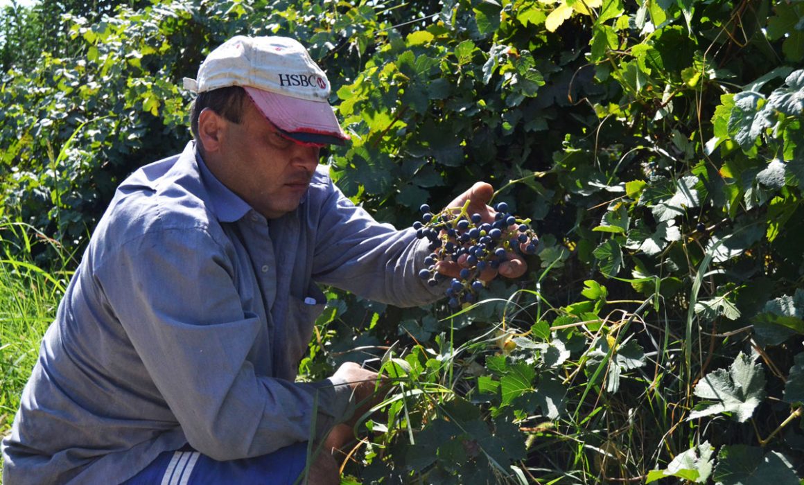 5 1160x700 - Vahē & Lucie Award 2021