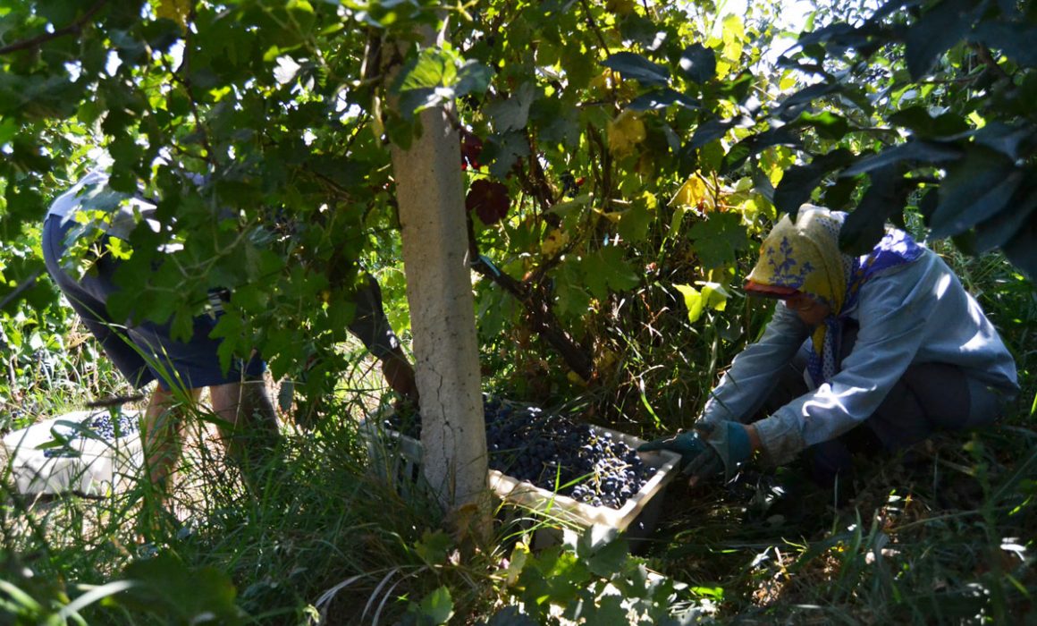 6 1160x700 - Vahē & Lucie Award 2021