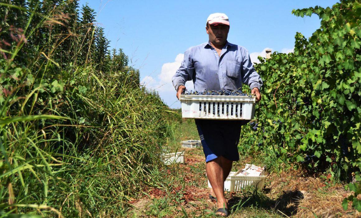 7 1160x700 - Vahē & Lucie Award 2021