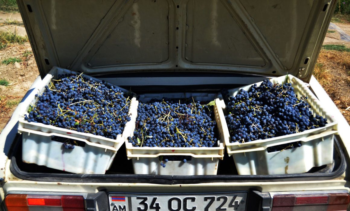 8 1160x700 - Vahē & Lucie Award 2021