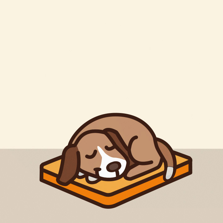 Doors of Gyumri motion featured - Doors of Gyumri