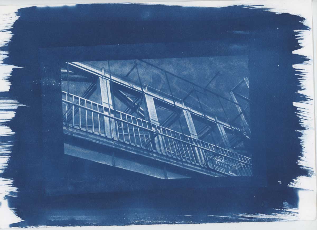 3 - Alternative Photography: Cyanotype