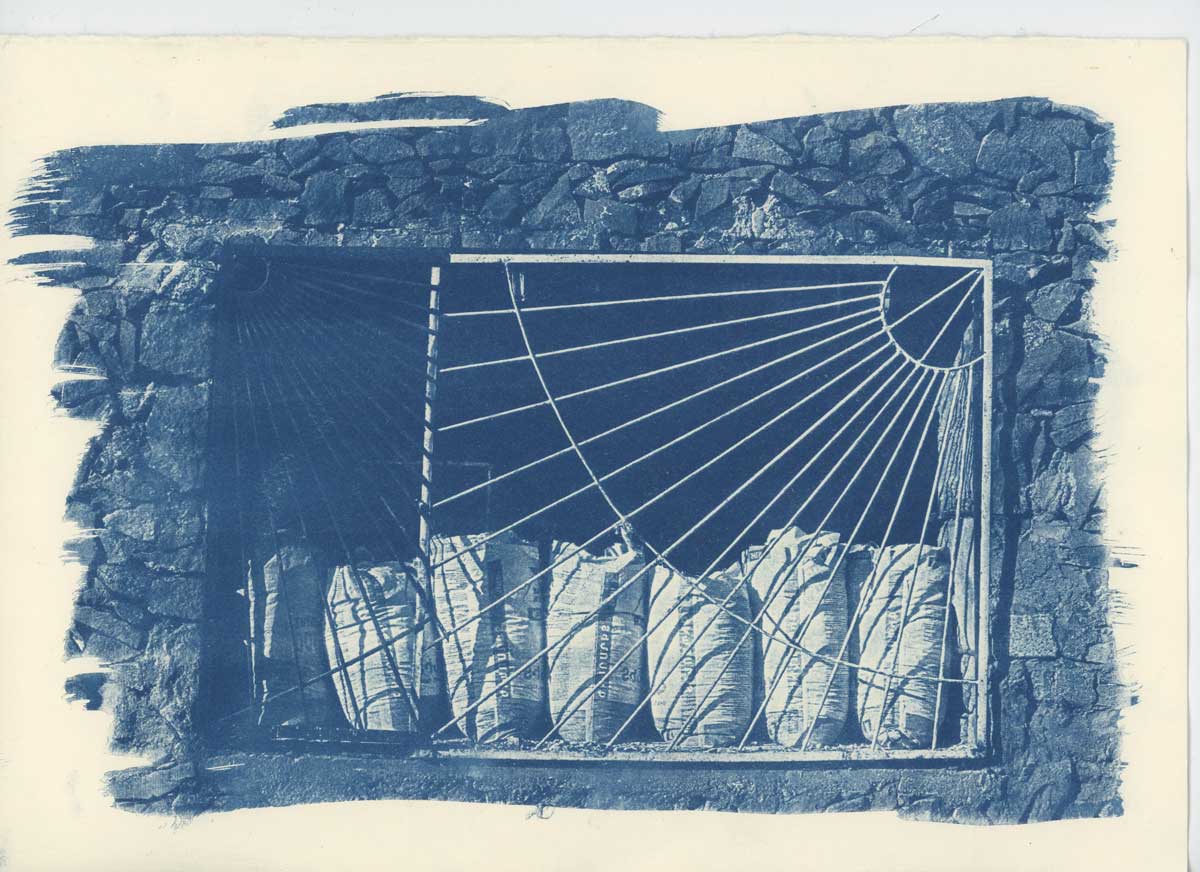 9 1 - Alternative Photography: Cyanotype