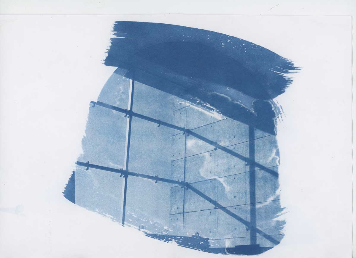 6 - Alternative Photography: Cyanotype