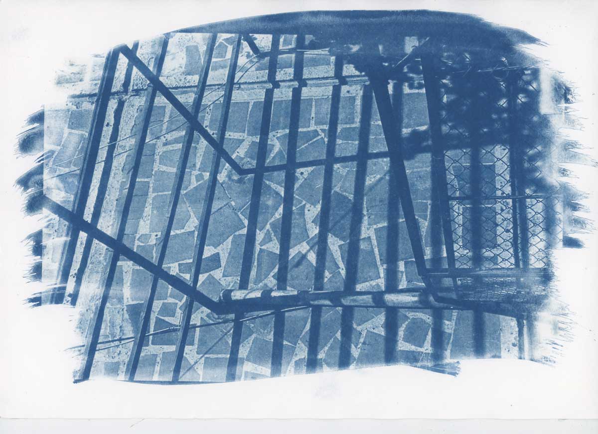 6 - Alternative Photography: Cyanotype