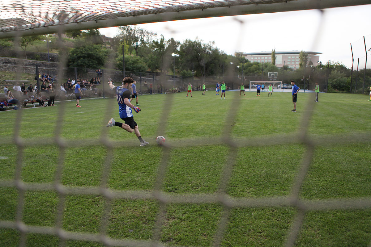 3 6 - Tumanyan Park in Full Bloom