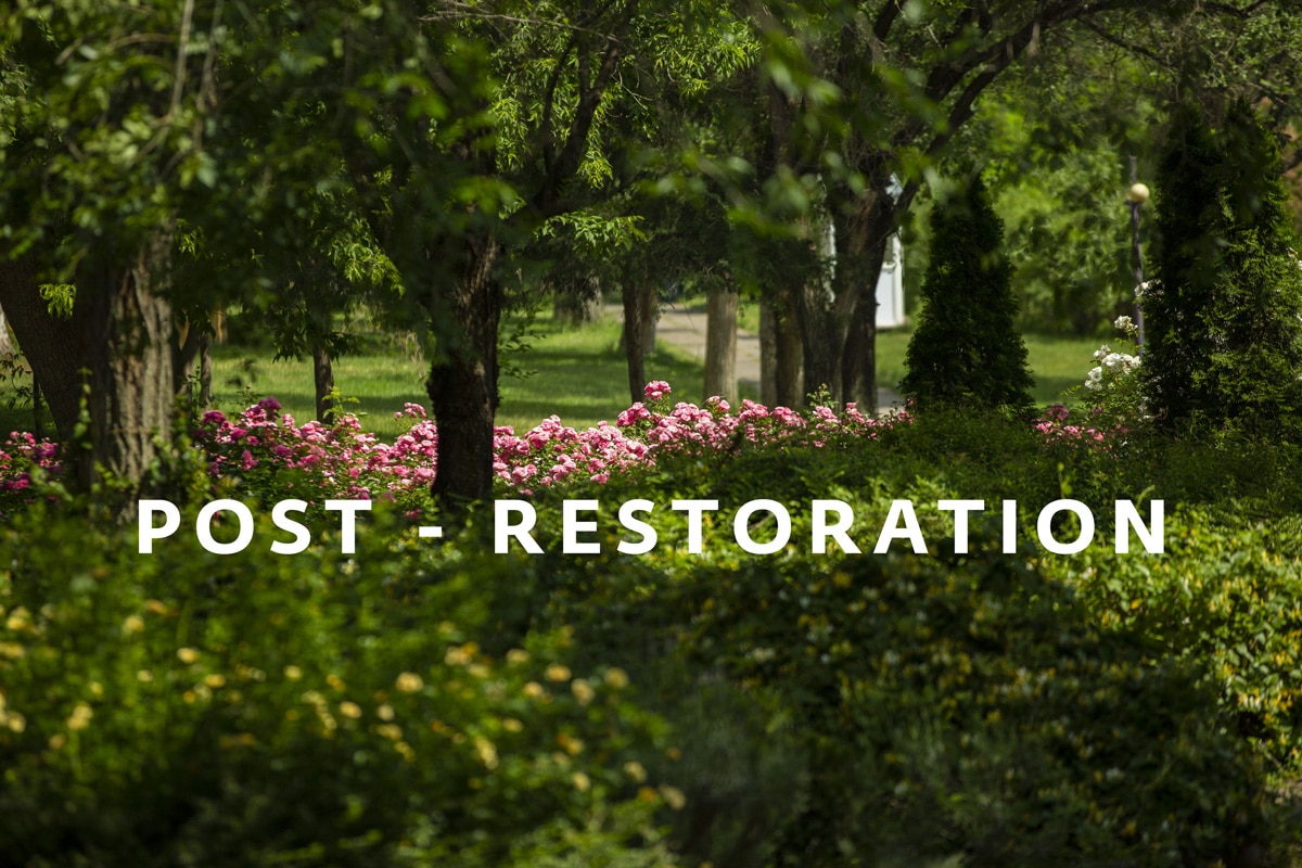 img 647312 - Tumanyan Park in Full Bloom