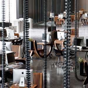 TUMO’s Umbilical Cord