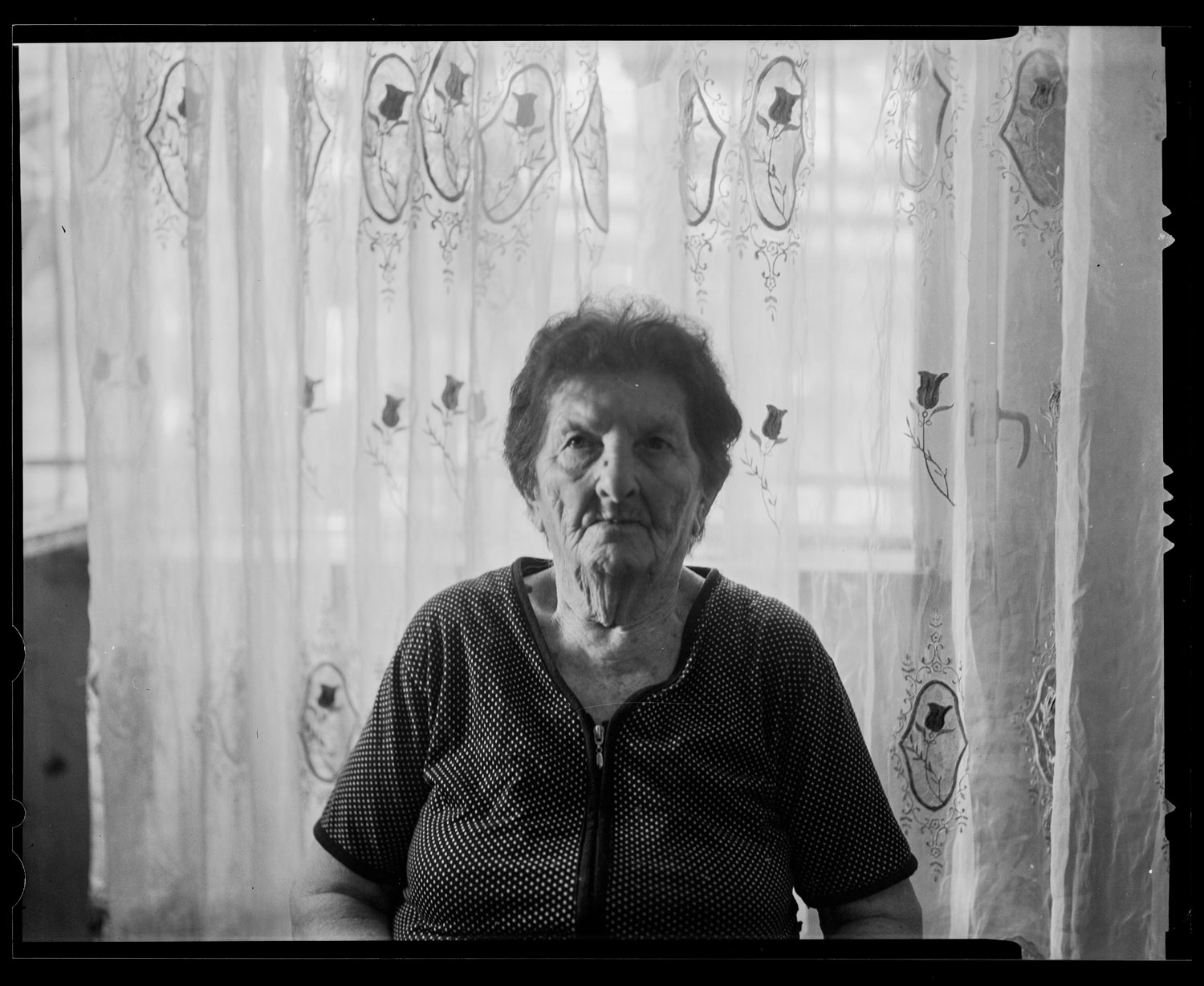 copy of 06 - Analog Photography & Portraits