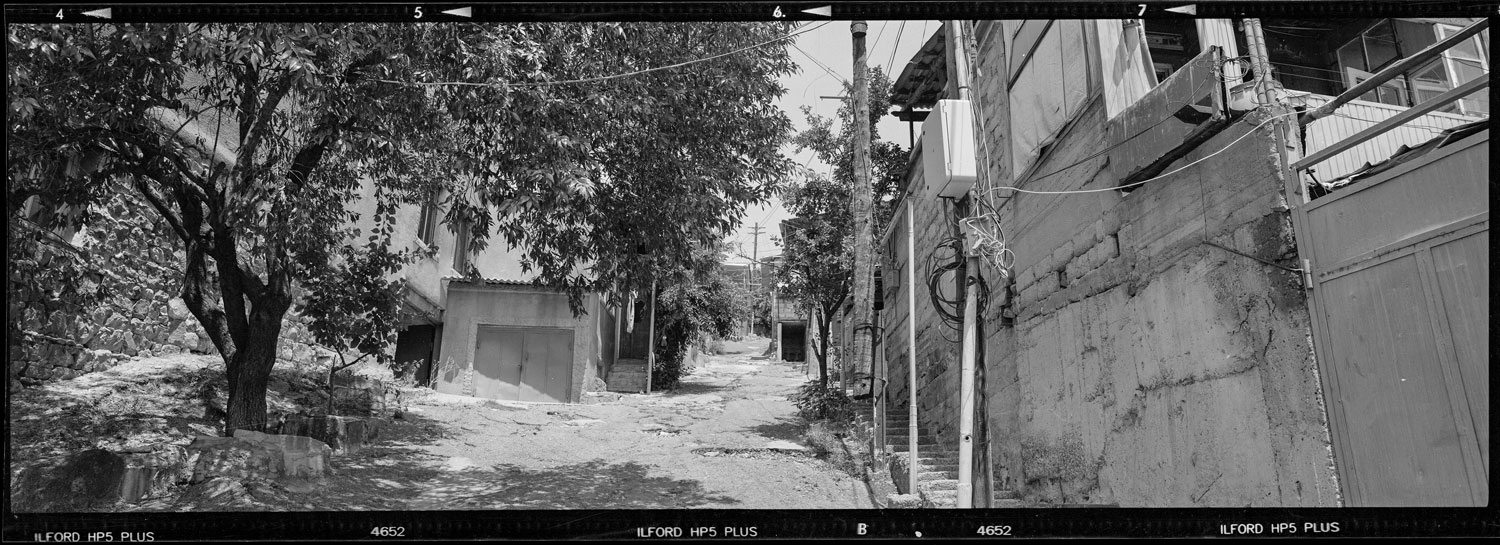 copy of 19 - Analog Photography & Portraits