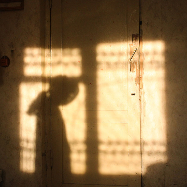 thumbnail - Portfolio