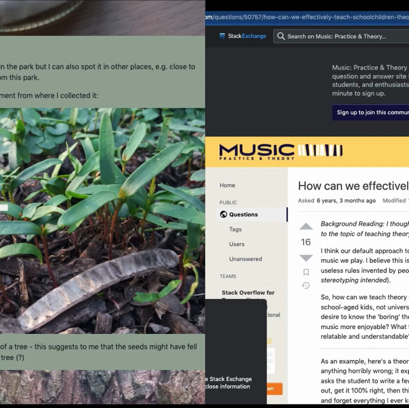 thumbprog - Portfolio