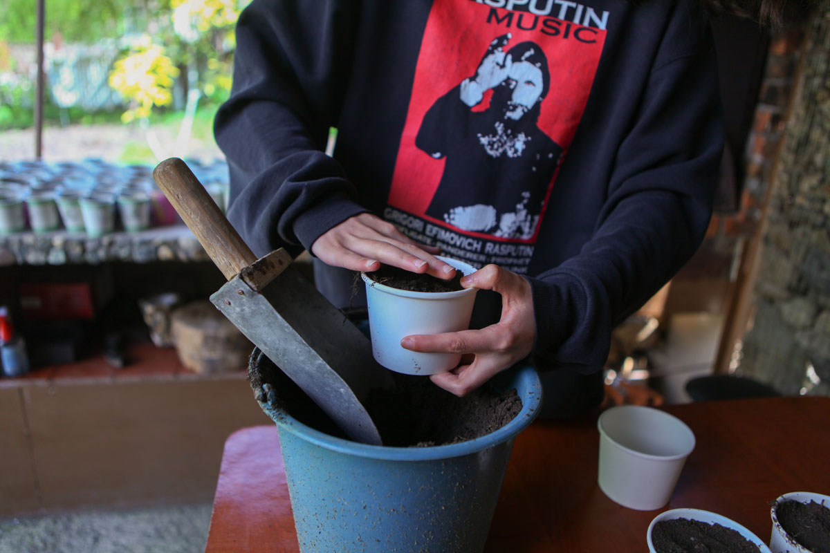 Lusine’s Movie: From Film to Agriculture, and Vanadzor to Spitak 1 3 1 - Lusine’s Movie: From Film to Agriculture, and Vanadzor to Spitak