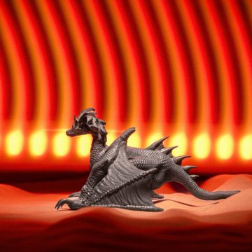 Vinyl Art with Tulip Hazbar dsc01331 360x360 - Vinyl Art with Tulip Hazbar